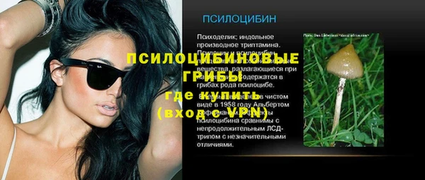 трава Киренск