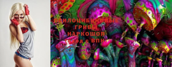 ГАЛЛЮЦИНОГЕННЫЕ ГРИБЫ Кинешма